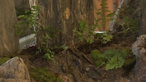 Zahrada je hra - 28. února 2008