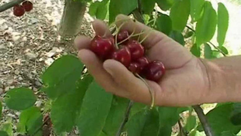 Diagnóza - Angina pectoris