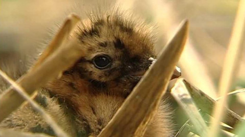 Přidej se - Heřmanský stav