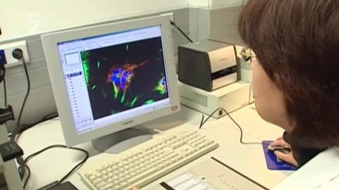 Nedej se! - Vláda × věda