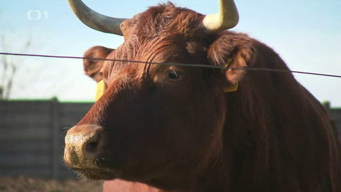 Z metropole - 15. dubna 2023