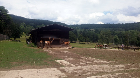 Toulavá kamera na venkově - 6/8 Jindřichohradecko a Prachaticko