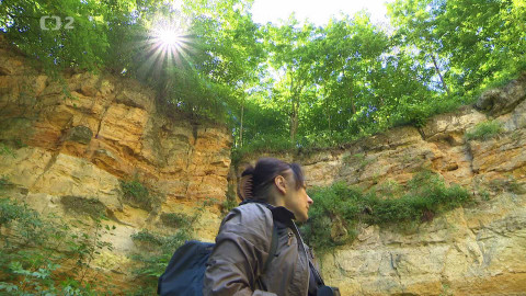 Nedej se! - Příroda okem skryté pozorovatelky