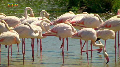 Terčin zvířecí svět - 11. října 2024