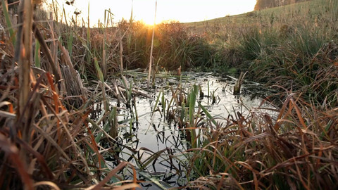 Nedej se! - Návrat vody