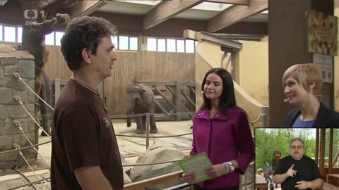 Sama doma - 6. května 2016