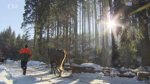 Náš venkov - Lesáci církve