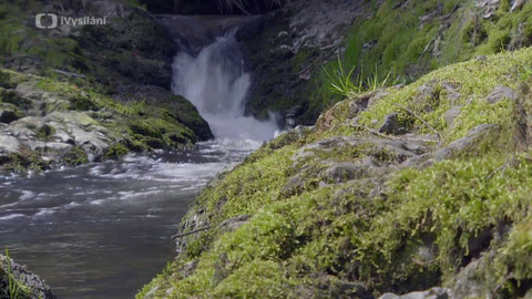 Minuty z přírody - Bobří soutěska