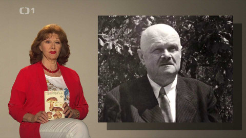 Kalendárium - 21. července 2024