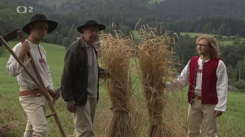 Folklorika - Svatojánské žito