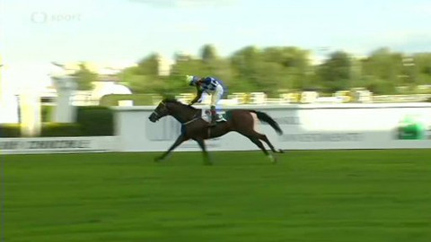 Turf - 4. září 2013