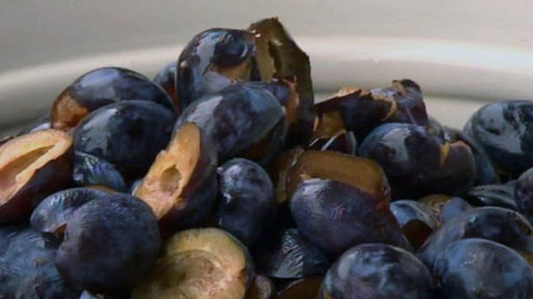 Folklorní magazín - 8. prosince 2012