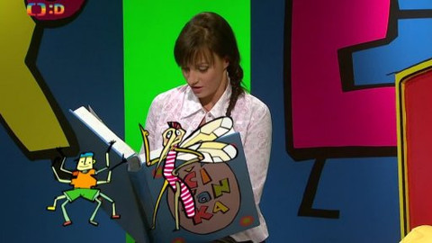 Čítanka - Komár z Komárna, Plameňák