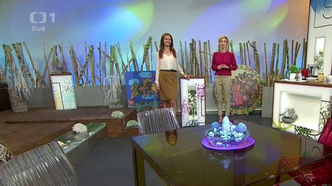 Sama doma - 13. ledna 2017