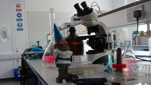 Podivnosti světa - 4/8 Nezvyklá povolání