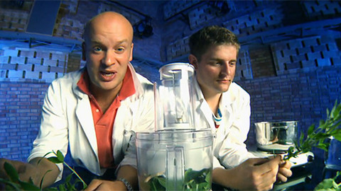 Lovci záhad - Tichý svět rostlin