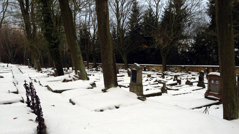 Cesty víry - Sudetský paradox