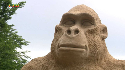 Zprávičky - 4. července 2023