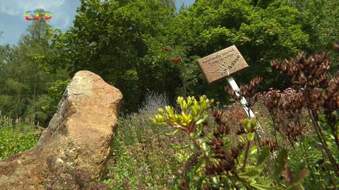 Tamtam - 13. srpna 2022