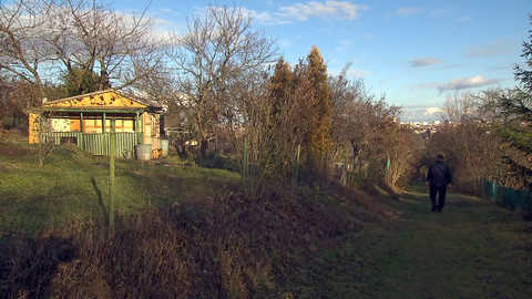 Nedej se! - Zahrádkáři v ohrožení