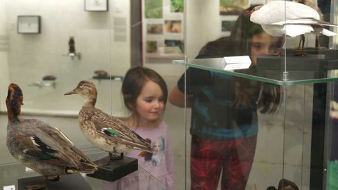 Tamtam - 11. února 2023