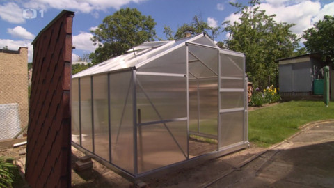 Černé ovce - 8. října 2020