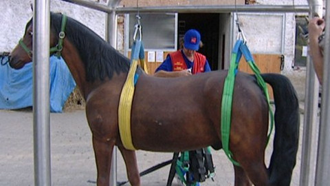 Chcete mě? - 22. září 2009