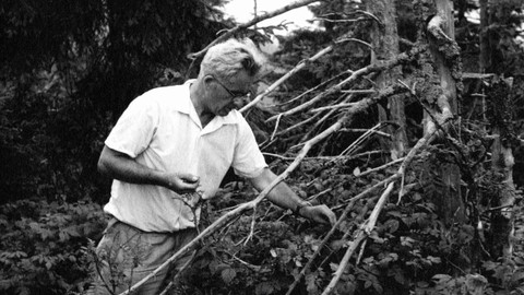 Nedej se! - Hledání ztraceného domova