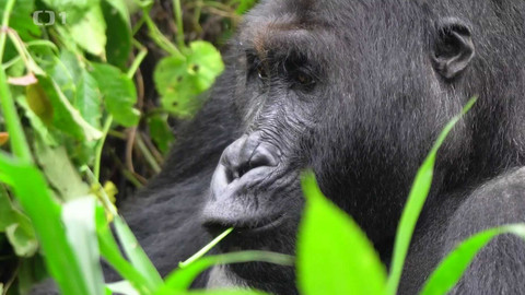 Objektiv - 27. října 2024