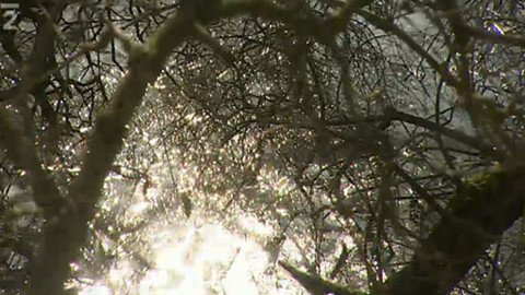 Historie.cs - Jak sedláci u Chlumce