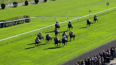 Jezdectví - Cena zimního favorita 2014 Praha-Velká Chuchle