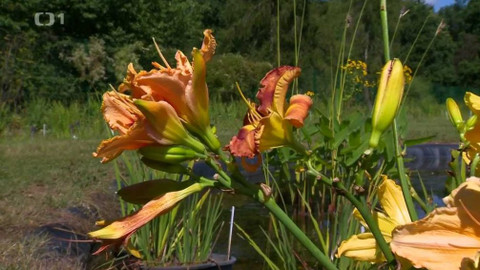 Polopatě - 6. září 2020