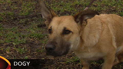 Chcete mě? - Chcete je? - předvýroba 2014