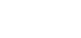 Posel