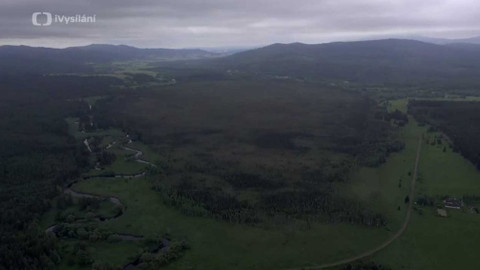 Minuty z přírody - Mrtvý luh