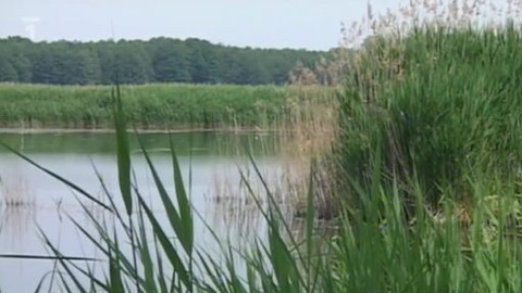 Toulavá kamera - 20. června 2010