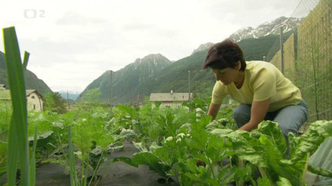 Evropa dnes - Chutné Švýcarsko