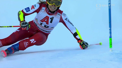 Světový pohár v alpském lyžování - SP Rakousko
