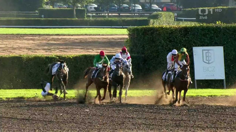 Velká pardubická - 133. Velká pardubická se Slavia pojišťovnou