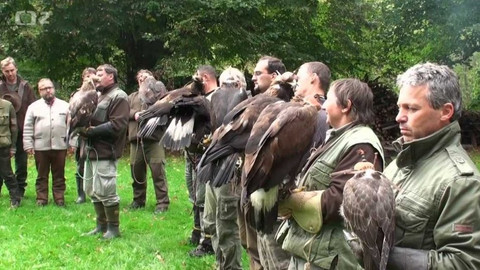 Tisíc let české myslivosti - 26. listopadu 2016