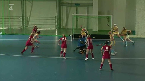 Pozemní hokej - MS v halovém pozemním hokeji 2011 Polsko