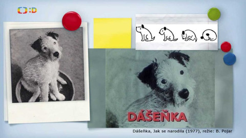 Zprávičky - 9. ledna 2020