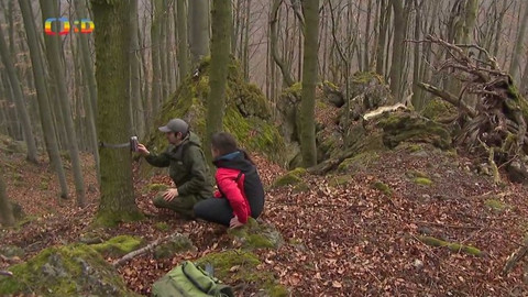 Zprávičky - 19. března 2019