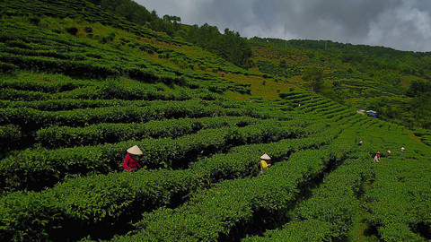 Na cestě - Na cestě po střeše Indočíny