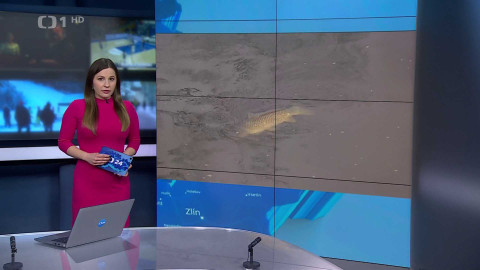 Události v regionech (Ostrava) - 17. prosince 2024