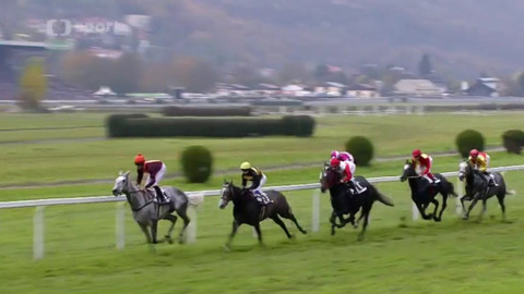 Jezdectví - Cena prezidenta republiky