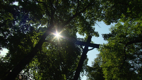 Reportéři ČT - 31. srpna 2015