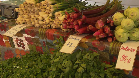 Černé ovce - 16. ledna