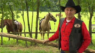 Když přijede pony express