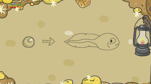 Ty Brďo! - Rozmnožování